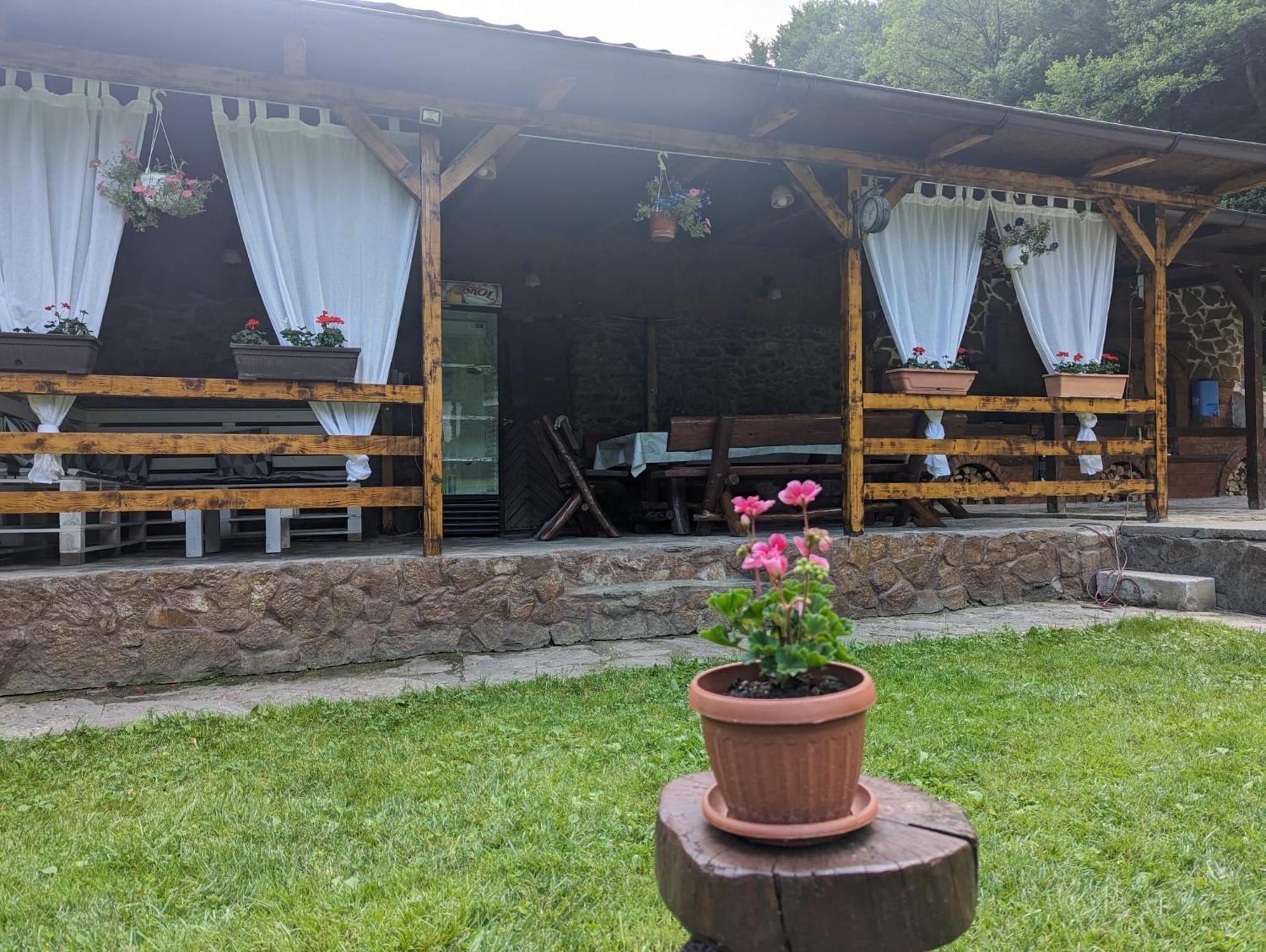 Willa Casa Alex Văliug Zewnętrze zdjęcie