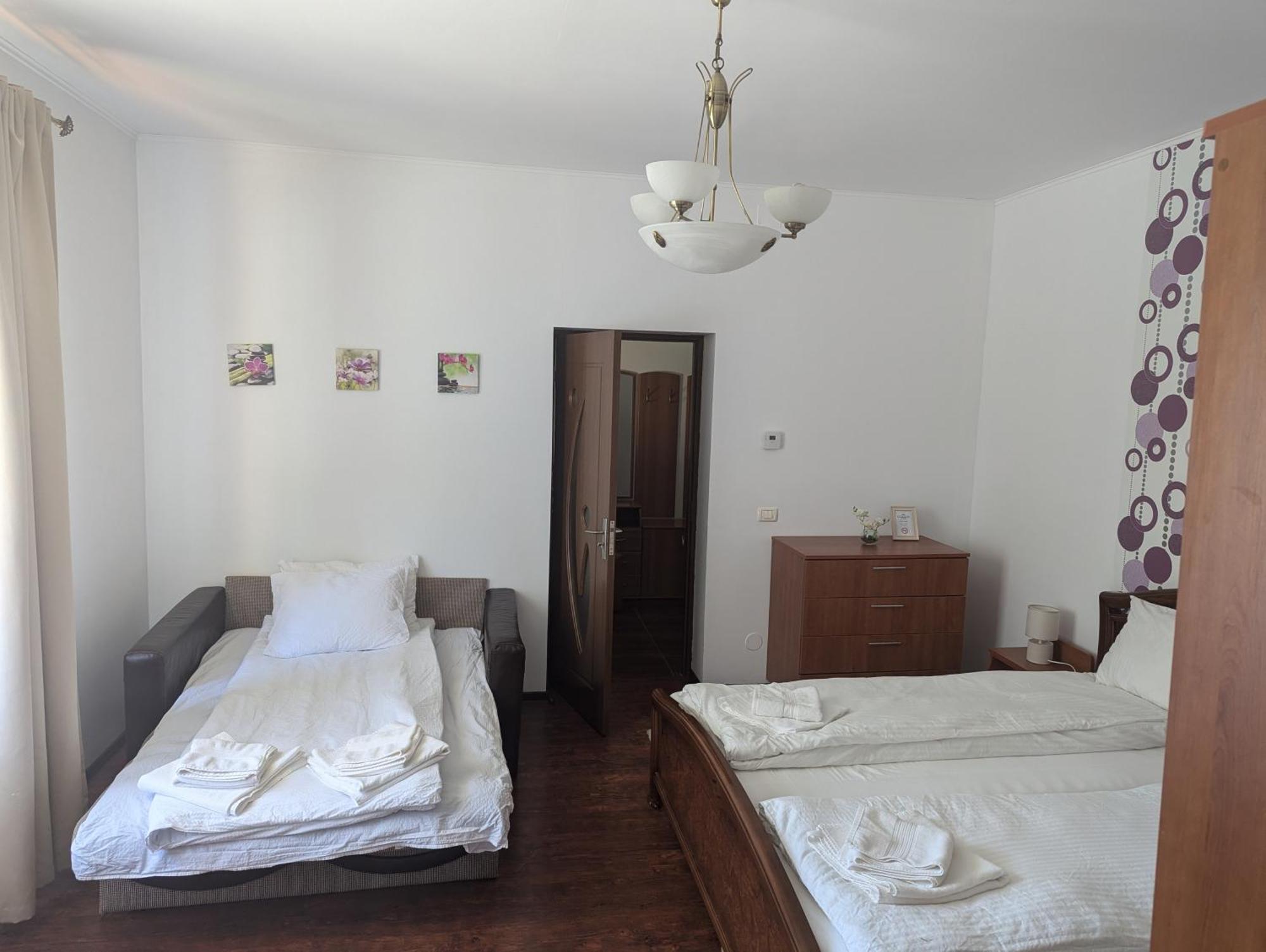 Willa Casa Alex Văliug Zewnętrze zdjęcie
